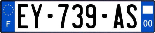 EY-739-AS