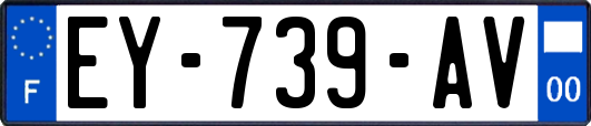 EY-739-AV