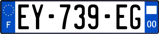 EY-739-EG