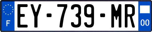 EY-739-MR