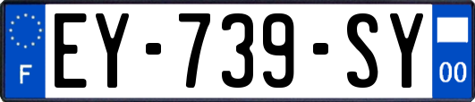 EY-739-SY