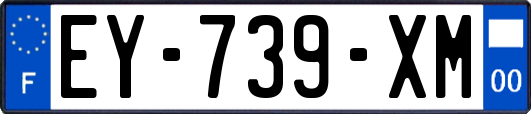 EY-739-XM