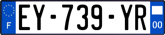 EY-739-YR