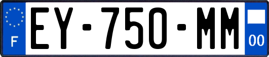 EY-750-MM