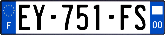 EY-751-FS