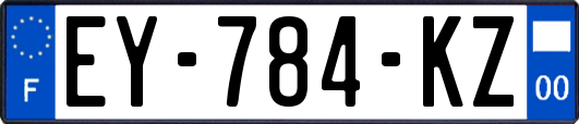 EY-784-KZ