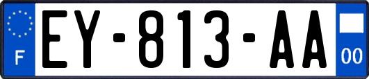 EY-813-AA