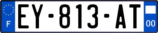 EY-813-AT