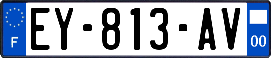 EY-813-AV