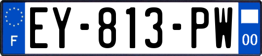 EY-813-PW