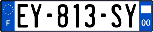 EY-813-SY