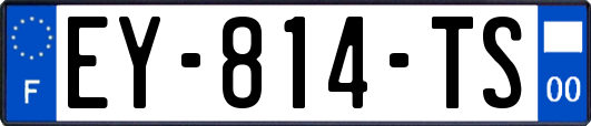 EY-814-TS