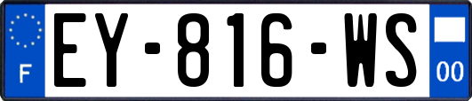 EY-816-WS