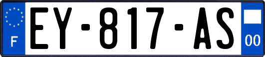 EY-817-AS