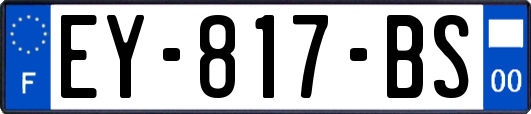 EY-817-BS