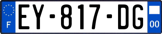 EY-817-DG
