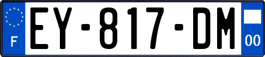 EY-817-DM