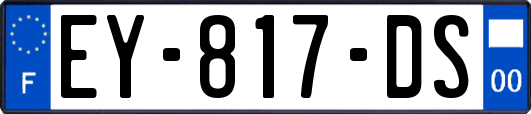 EY-817-DS