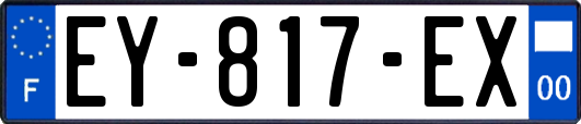 EY-817-EX