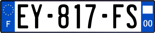 EY-817-FS