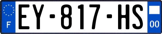 EY-817-HS