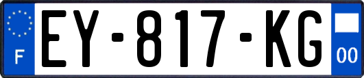 EY-817-KG