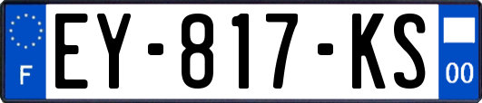 EY-817-KS