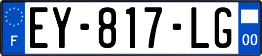 EY-817-LG