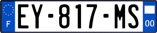 EY-817-MS