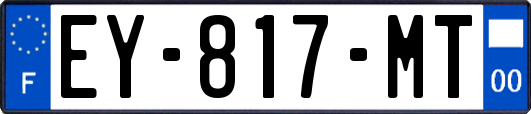 EY-817-MT