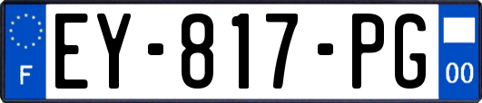 EY-817-PG