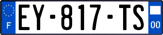 EY-817-TS