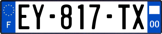 EY-817-TX