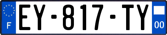 EY-817-TY