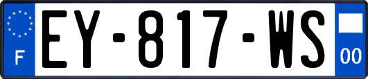 EY-817-WS