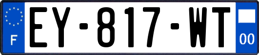 EY-817-WT