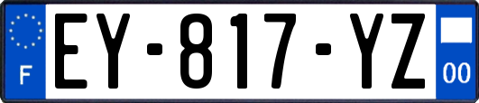 EY-817-YZ