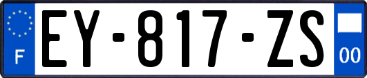 EY-817-ZS