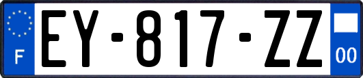 EY-817-ZZ