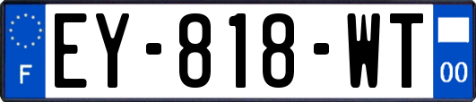 EY-818-WT