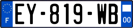 EY-819-WB