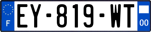 EY-819-WT