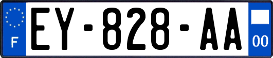 EY-828-AA