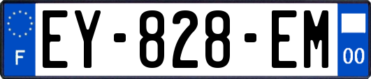 EY-828-EM