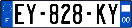 EY-828-KY