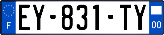 EY-831-TY