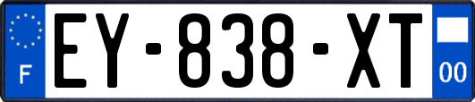 EY-838-XT