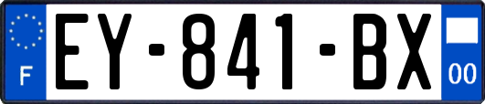 EY-841-BX