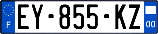 EY-855-KZ