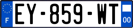 EY-859-WT